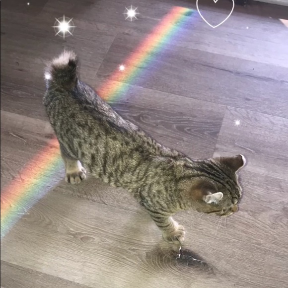 Meet your Posher, Kirsten - Picture 1 of 1